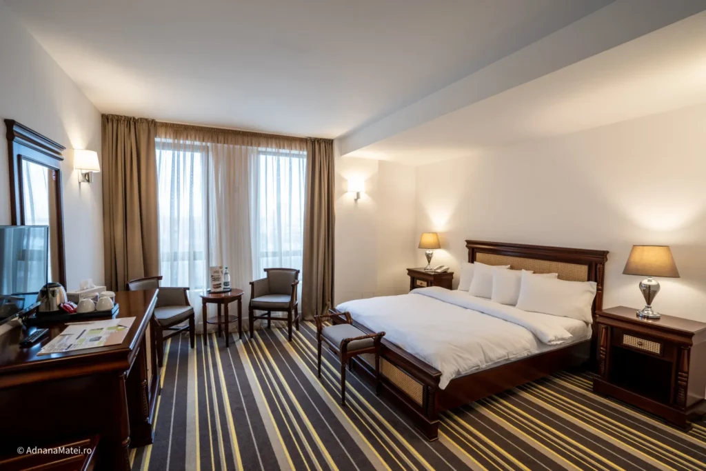 Hotel Avenue Buzău